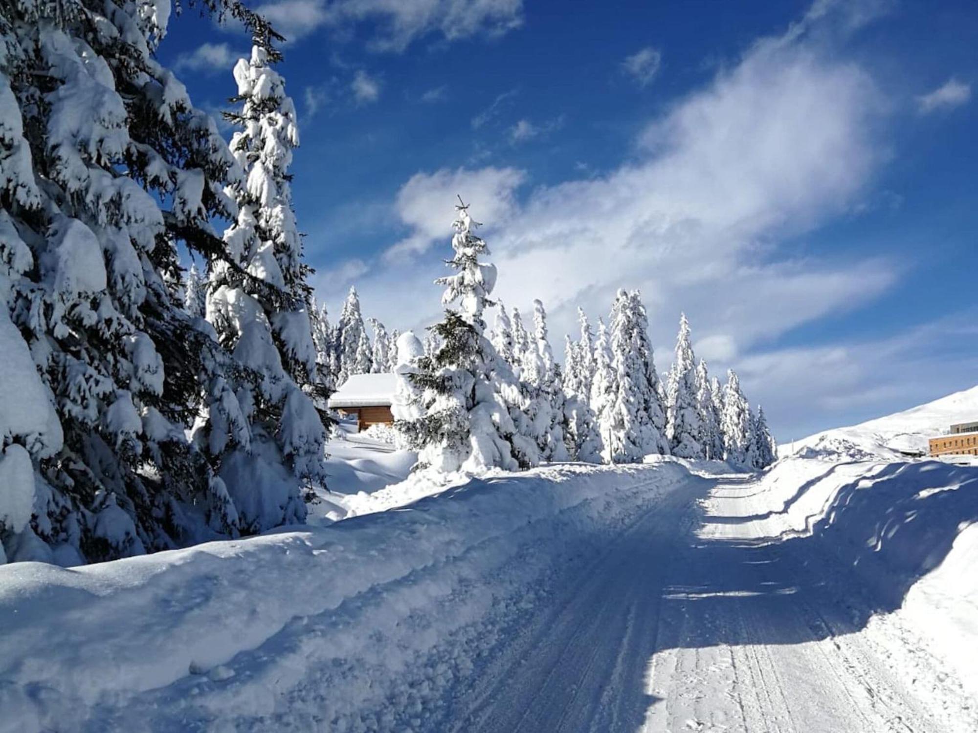 Flat South Of Kitzb Hel With Nationalparkcard Apartment
